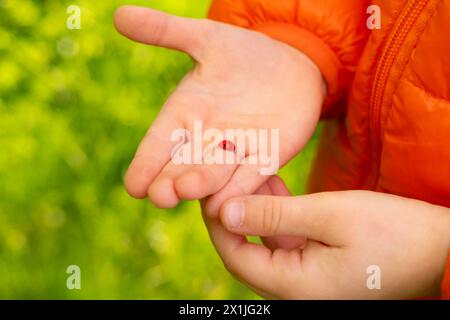 Kind, glückliches romantisches Mädchen 5 Jahre alt, das Marienkäfer auf Palme auf grüner sonnendurchfluteter Wiese in der Herzen Natur hält, glückliche Kindheit, natürliche Welt, schützende Natur Stockfoto