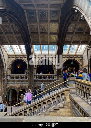 Die Hall of Natural History Museum in London, Großbritannien, am 11. April 2024 Stockfoto