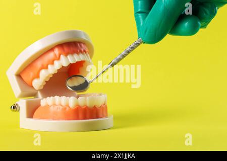 Die Hand eines Zahnarztes in einem grünen medizinischen Handschuh hält einen Zahnspiegel in der Hand nahe einem Modell eines Zahnkiefers auf gelbem Hintergrund. Konzept Stockfoto
