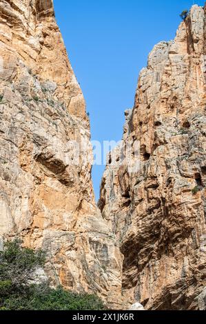 Caminito del Ray, der Pfad des Königs. Der Fußweg ist entlang der steilen Wände einer engen Schlucht in El Chorro, Malaga, Spanien Stockfoto