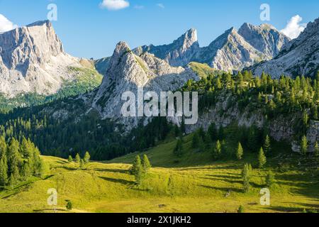 Sommerblick auf die Dolomiten bei sonnigem Tag in der Nähe des Falzarego-Passes mit dem Kiefernwald in Italien Stockfoto