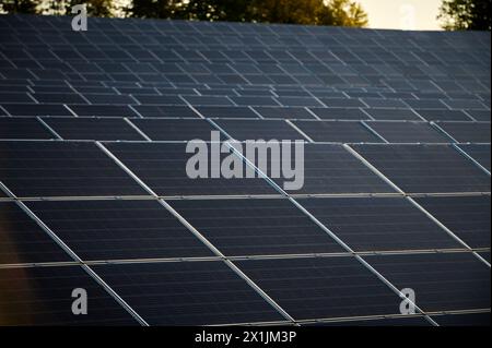 Photovoltaikpaneele auf einem Solarkraftwerk, das zur Sonne gerichtet ist Stockfoto