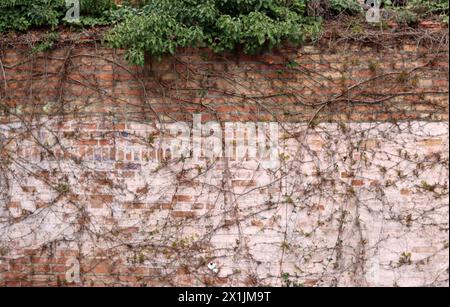 Alte Ziegel Wand Textur Hintergrund. Stockfoto