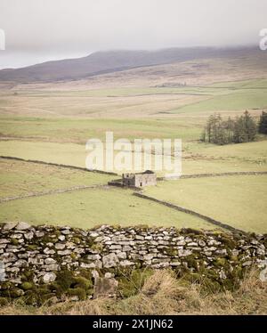 Hängender Nebel in den Hügeln und der Landschaft rund um Malham Dale in den Yorkshire Dales. Stockfoto