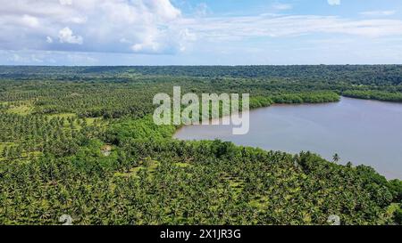 Blick auf den grünen tropischen Wald. Fluss in einem tropischen Dschungel. Hochwertiges Foto aus der Vogelperspektive. Stockfoto