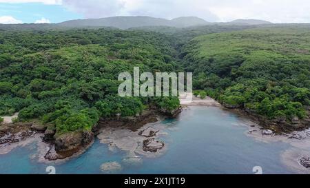Blick auf den grünen tropischen Wald. Fluss in einem tropischen Dschungel. Hochwertiges Foto aus der Vogelperspektive. Stockfoto