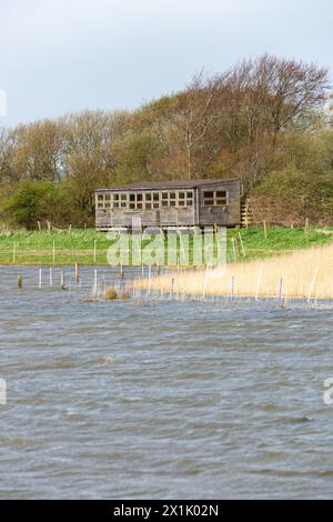 Das Allen Hide at Leighton Moss aus dem Eric Morecambe Hide Stockfoto