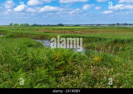 Hengistbury Head, Großbritannien - 1. Juli 2023: Bach fließt durch die Wiese. Stockfoto