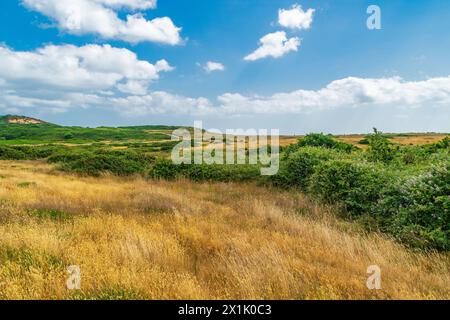 Hengistbury Head, Großbritannien - 1. Juli 2023: Grassland und Büsche. Stockfoto