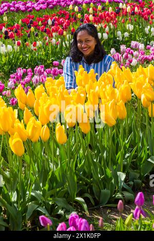 Frau, die zwischen Tulpen auf Tulpenfeldern sitzt, Tulleys Tulip fest auf Tulleys Farm, Turners Hill, Crawley, West Sussex, Großbritannien im April Stockfoto