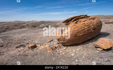 Große runde rote Konkretion am Horizont bei Red Rock Coulee bei Seven Persons, Alberta, Kanada Stockfoto