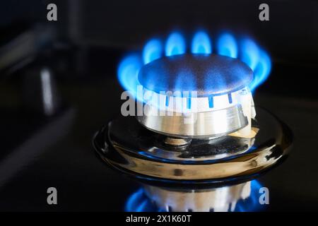 Blaue Gasflamme auf Herdbrenner, Nahaufnahme Stockfoto