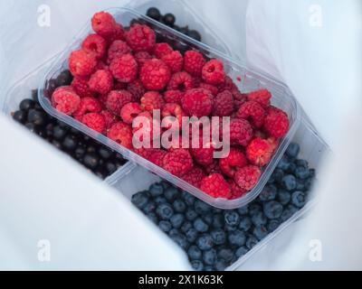 Drei Kunststoffbehälter mit Himbeeren, Heidelbeeren und schwarzer Johannisbeere in einer weißen Papiertüte. Saisonales Speiseeinkauf und gesundes Esskonzept. Stockfoto