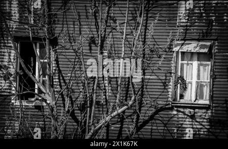 Ventanas conventillo de La Boca - Buenos Aires/Argentinien Stockfoto