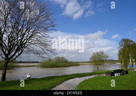 Blick auf die Ufer des überfluteten Flusses Severn in Tewkesbury Gloucestershire Stockfoto