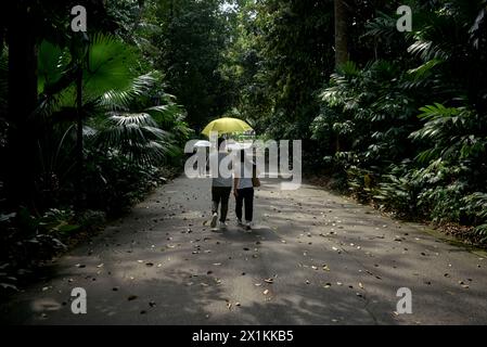 John Angerson 2024 - Singapur Stockfoto