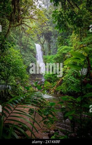 Wasserfall tief im Regenwald, Landschaft der schönen Natur, grüner Dschungel Stockfoto