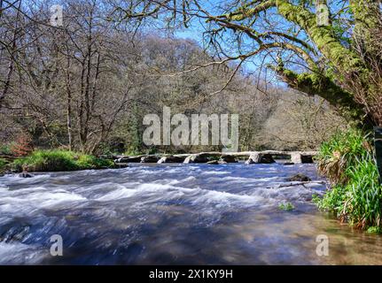 Tarr tritt auf eine Brücke, die den Fluss Barle auf Exmoor in Somerset, Großbritannien, überspannt Stockfoto