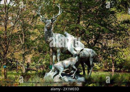 Der majestätische Hirsch (von Georges Gardet, 1910) - Detail - Botanischer Garten - Nantes, Pays de la Loire, Frankreich Stockfoto