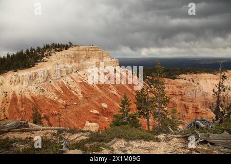 Vom Bristlecone Loop Trail im Bryce Canyon National Park, Utah, aus blickenden Wolken über orangefarbenen Felsen Stockfoto