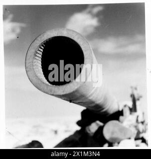 VERSCHIEDENE BILDER AUS DER westlichen WÜSTE - der Mund einer der großen Geschütze, die von der Achsenarmee auf ihrem Rückzug aufgegeben wurden; zu einem Zeitpunkt, ohne Zweifel, bombardierte sie Tobruk, britische Armee Stockfoto