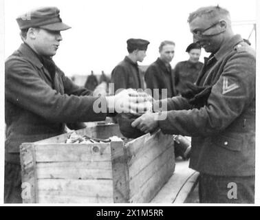 Ein britischer Armeesoldat in Nordwesteuropa zwischen 1944-1946 zieht bei Feldoperationen mit der 21. Armeegruppe Rationen von Bully Beef und Biscuits. Stockfoto