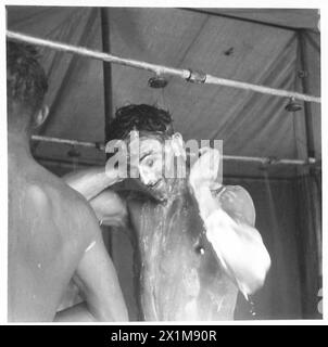 MIT Einer HIGHLAND-DIVISION IN DER MARETH-LINIE, die den Sand aus seinen Haaren holt, eine Nahaufnahme eines der Jocks in den Duschen, British Army Stockfoto