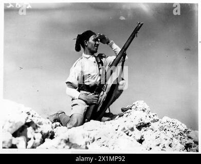 Eine Patrouille der Arabischen Legion ist an der Küste in Alarmbereitschaft, britische Armee. Stockfoto
