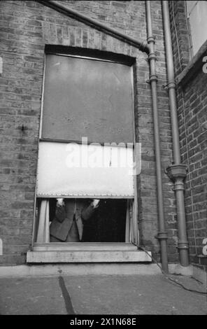 Ein TAG IM LEBEN Einer HAUSFRAU AUS KRIEGSZEITEN: ALLTAG IN LONDON, ENGLAND, 1941 - Mrs Olive Day öffnet ihr Fenster, um Luft und Licht in ihr Haus in South Kensington zu lassen. Die Fensterscheiben wurden durch geöltes Leinen ersetzt, das über den Rahmen gestreckt wurde, als das Glas vor kurzem von einer Bombe in der Nähe ausgeworfen wurde. Stockfoto