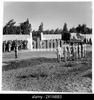 Beerdigung von vier britischen Armeeoffizieren, die bei einem Flugunfall auf dem britischen Friedhof in Old Cairo getötet wurden, mit Bildern, die innerhalb und außerhalb des Friedhofs aufgenommen wurden. Stockfoto