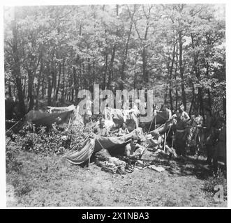 ACHTE ARMEE: JETZT LEBEN DIE TRUPPEN WIRKLICH - Mann von A-Kompanie, 2/6 Queen's, arbeitet um ihre 'palastartigen' Quartiere in einem Wald in der Nähe von Comeo, britische Armee Stockfoto