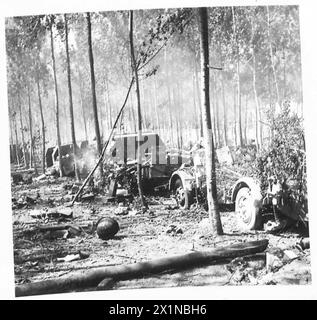 ACHTE ARMEE : ÜBERQUERUNG DES FLUSSES Po - mehr Transport, die nicht der RAF entkommen konnten, British Army Stockfoto