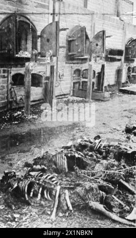 DIE DEUTSCHE BESETZUNG POLENS, 1941-1945 – Einäscherungsöfen säumen eine Wand des Krematoriums im Vernichtungslager Majdanek, Juli 1944. Im Vordergrund sind die verkohlten Überreste mehrerer Skelette deutlich sichtbar. Stockfoto