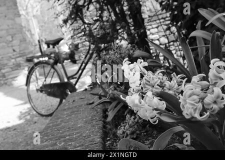 In der Zeit zurück Stockfoto