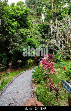 Foto des Geländes in der Lodge und Spa im Pico Bonito, Pico Bonito Nationalpark, in der Nähe von La Ceiba, Honduras an einem wunderschönen Nachmittag. Stockfoto