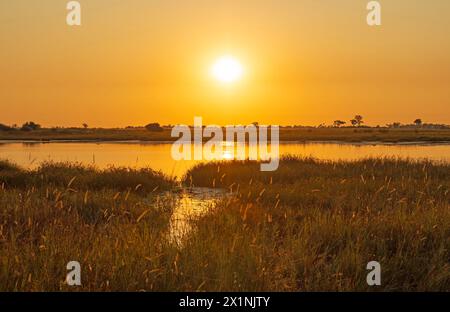 Sonnenaufgang am Okavango Delta in Botswana Stockfoto