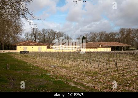 Blick aus der Weinregion Médoc, Frankreich Stockfoto