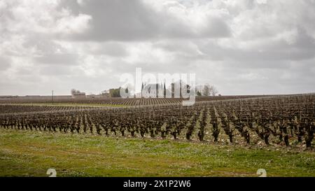 Blick aus der Weinregion Médoc, Frankreich Stockfoto