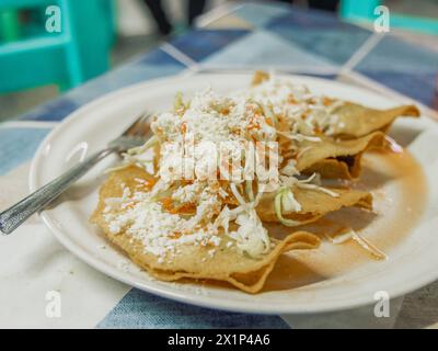 Aus nächster Nähe sehen Sie traditionelle Flautas, die in Puerto Vallarta Mexiko serviert werden und auf einem Teller auf dem Tisch serviert werden. Stockfoto