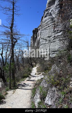 Der „Pilot Knob Trail“ rund um den Gipfel des Pilot Mountain State Park in North Carolina. Stockfoto