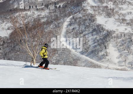 Männlicher Skier, der auf dem Berg steht und auf das Hinterland blickt Stockfoto