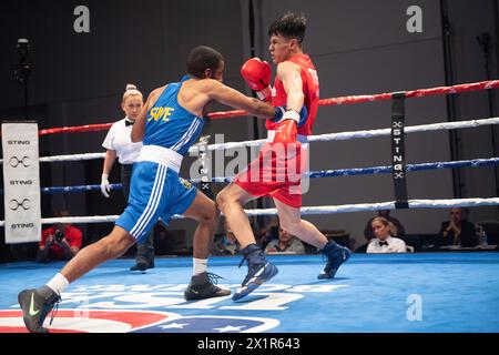 Pueblo, Colorado, USA. April 2024. Nebil ibrahim von Schweden (Blau) landet auf Cheng-Wei Lee von Taipeh und würde seinen 57 kg schweren Vorkampf gewinnen. Quelle: Casey B. Gibson/Alamy Live News Stockfoto