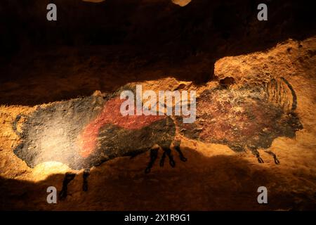 Lascaux IV, International Center for Cave Art (Centre international de l'Art pariétal), präsentiert unter anderem ein vollständiges Faksimile aller d Stockfoto