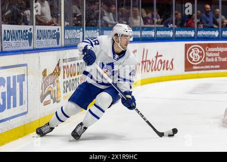 17. April 2024: Max Lajoie (48), Verteidiger der Toronto Marlies, Skates in der zweiten Periode gegen die Rochester Americans. Die Rochester Americans veranstalteten die Toronto Marlies in einem Spiel der American Hockey League in der Blue Cross Arena in Rochester, New York. (Jonathan Tenca/CSM) Stockfoto