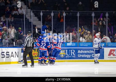 17. April 2024: Rochester American Spieler feiern ein Tor in der ersten Periode gegen die Toronto Marlies. Die Rochester Americans veranstalteten die Toronto Marlies in einem Spiel der American Hockey League in der Blue Cross Arena in Rochester, New York. (Jonathan Tenca/CSM) Stockfoto