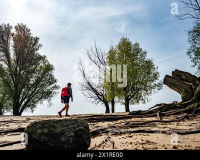 Beuningen, Niederlande. April 2024. Man sieht einen Mann im Sand laufen. Die erste Frühlingshälfte war die bisher wärmste in den Niederlanden seit Beginn der Temperaturmessungen im Jahr 1901. In der ersten Frühlingshälfte wurden auch drei tägliche Wärmerekorde gebrochen. März 2024 war der wärmste März aller Zeiten, mit einer durchschnittlichen Temperatur von 9 Grad an der nationalen Wetterstation in de Bit, verglichen mit den typischen 6,5 Grad. (Foto: Ana Fernandez/SOPA Images/SIPA USA) Credit: SIPA USA/Alamy Live News Stockfoto