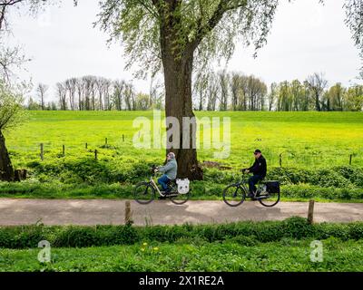 Beuningen, Niederlande. April 2024. Ein altes Paar wird auf dem Rad zwischen grünen Feldern gesehen. Die erste Frühlingshälfte war die bisher wärmste in den Niederlanden seit Beginn der Temperaturmessungen im Jahr 1901. In der ersten Frühlingshälfte wurden auch drei tägliche Wärmerekorde gebrochen. März 2024 war der wärmste März aller Zeiten, mit einer durchschnittlichen Temperatur von 9 Grad an der nationalen Wetterstation in de Bit, verglichen mit den typischen 6,5 Grad. Quelle: SOPA Images Limited/Alamy Live News Stockfoto