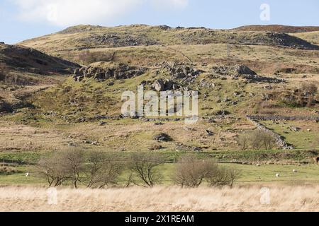 Arenig fiel Stockfoto