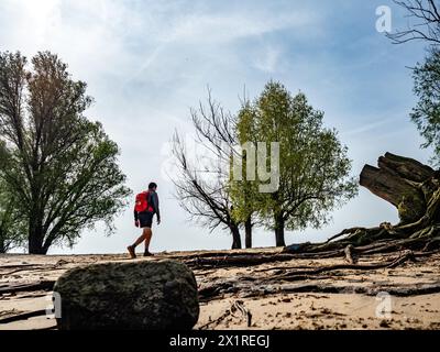 Beuningen, Gelderland, Niederlande. April 2024. Man sieht einen Mann im Sand laufen. Die erste Frühlingshälfte war die bisher wärmste in den Niederlanden seit Beginn der Temperaturmessungen im Jahr 1901. In der ersten Frühlingshälfte wurden auch drei tägliche Wärmerekorde gebrochen. März 2024 war der wärmste März aller Zeiten, mit einer durchschnittlichen Temperatur von 9 Grad an der nationalen Wetterstation in de Bit, verglichen mit den typischen 6,5 Grad. (Credit Image: © Ana Fernandez/SOPA Images via ZUMA Press Wire) NUR REDAKTIONELLE VERWENDUNG! Nicht für kommerzielle ZWECKE! Stockfoto