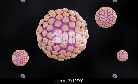 3d Rendering von Norovirus ist ein hoch ansteckendes Virus, das Erbrechen und Durchfall verursacht, und nennt die „Magengrippe“ oder „Magenwanze“ Stockfoto